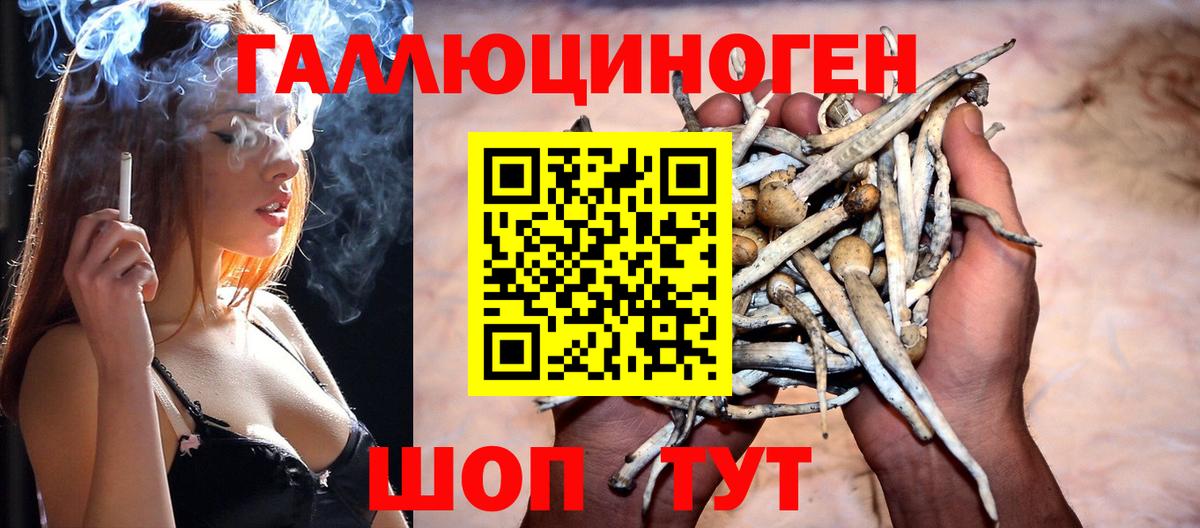 Псилоцибиновые грибы MAGIC MUSHROOMS  Вход с VPN  Россошь  Псилоцибиновые грибы Cubensis 